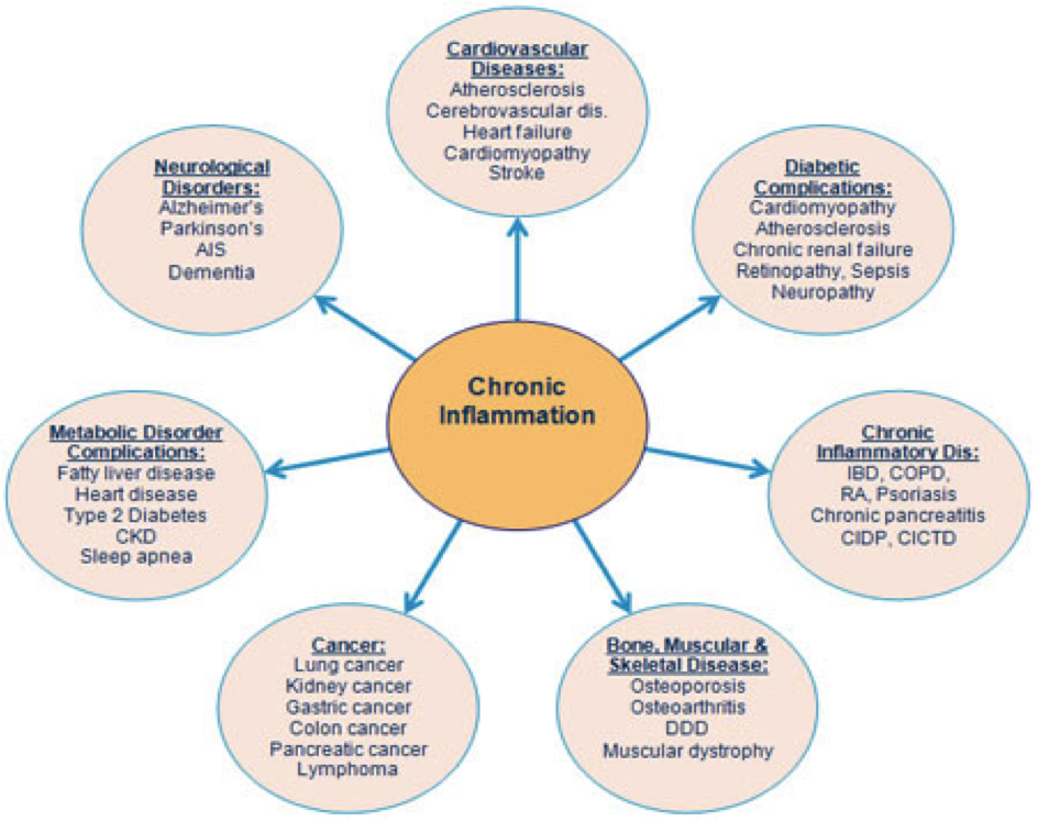 Anti Inflammatory Chronic Pain Diet